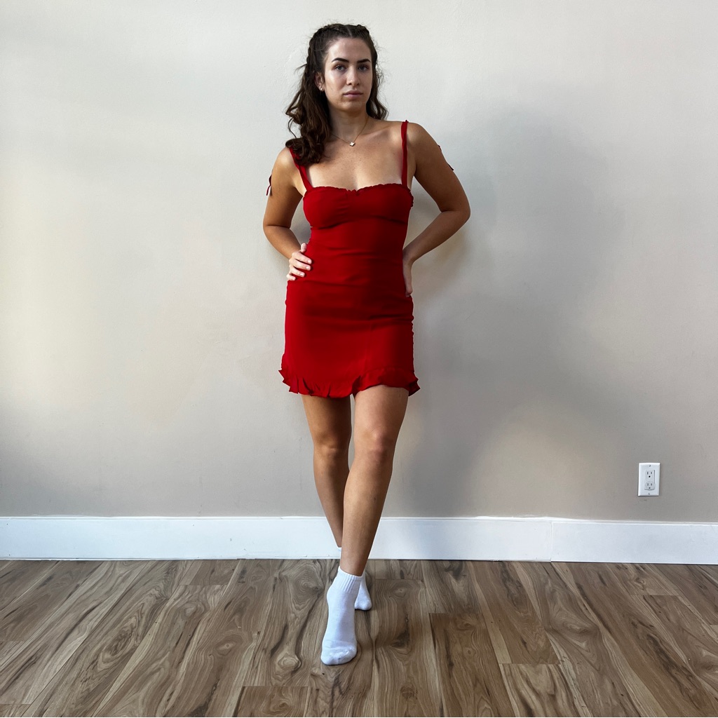 Reformation Christine Dress | Lipsticksale New
